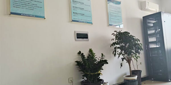 电商平台制作的优点微信支付安全便捷用户评价功能